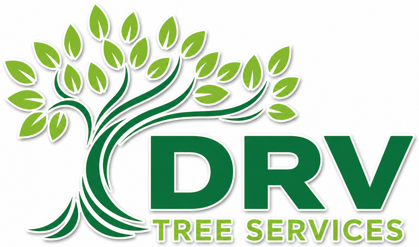 D.R.V Trees